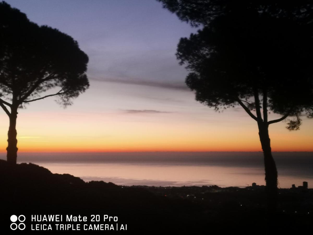 Villa Maresme & Villa Rosa Mataró Kültér fotó